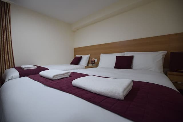 Standard Triple Room, Multiple Beds, Non Smoking, City View