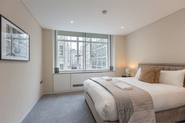 Deluxe Two Bedroom Apartment