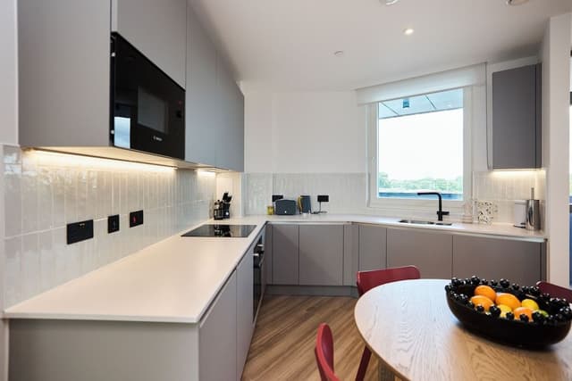 Apartment (1 Bedroom)
