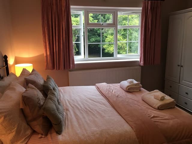 Deluxe Double Room, 1 King Bed, Non Smoking