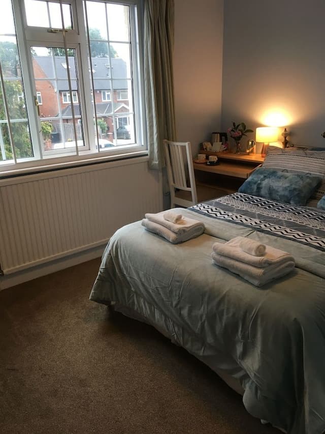 Deluxe Double Room, 1 King Bed, Non Smoking