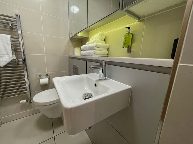 Basic Studio, 1 King Bed, Kitchenette