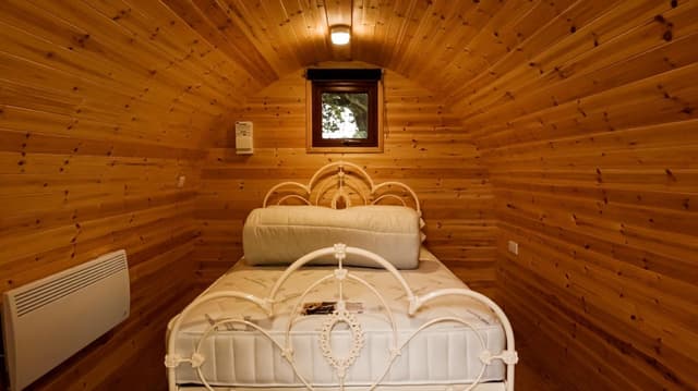 Economy Cabin
