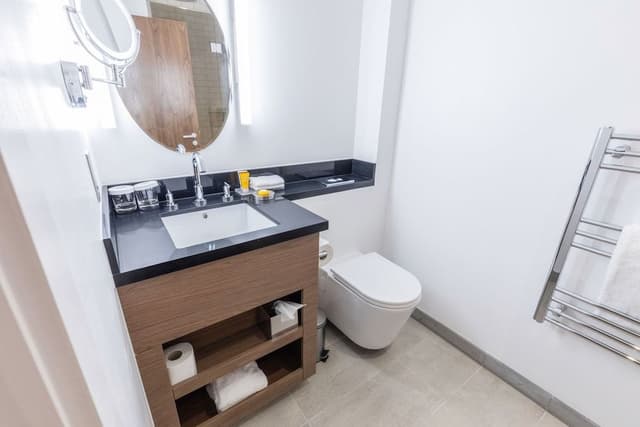 Deluxe Suite, 1 Bedroom, 1 King, Sofa Bed, Kitchenette