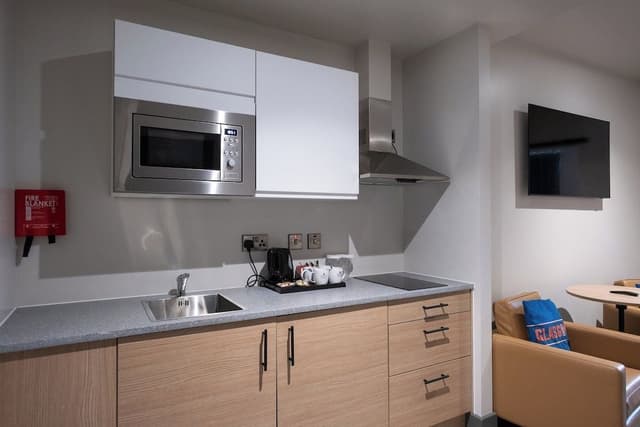 Executive Suite, 1 King Bed, Sofa Bed, Kitchenette