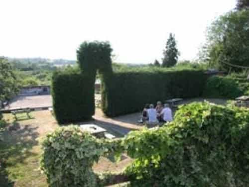The Dog Inn The Dog Inn