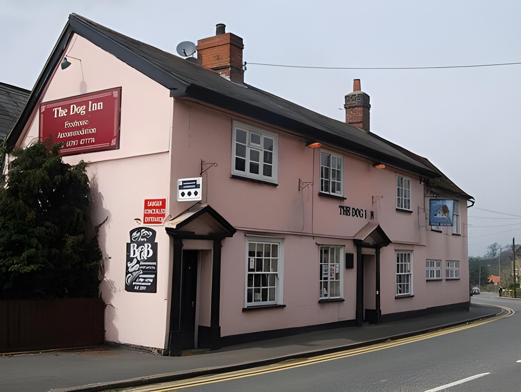 The Dog Inn The Dog Inn