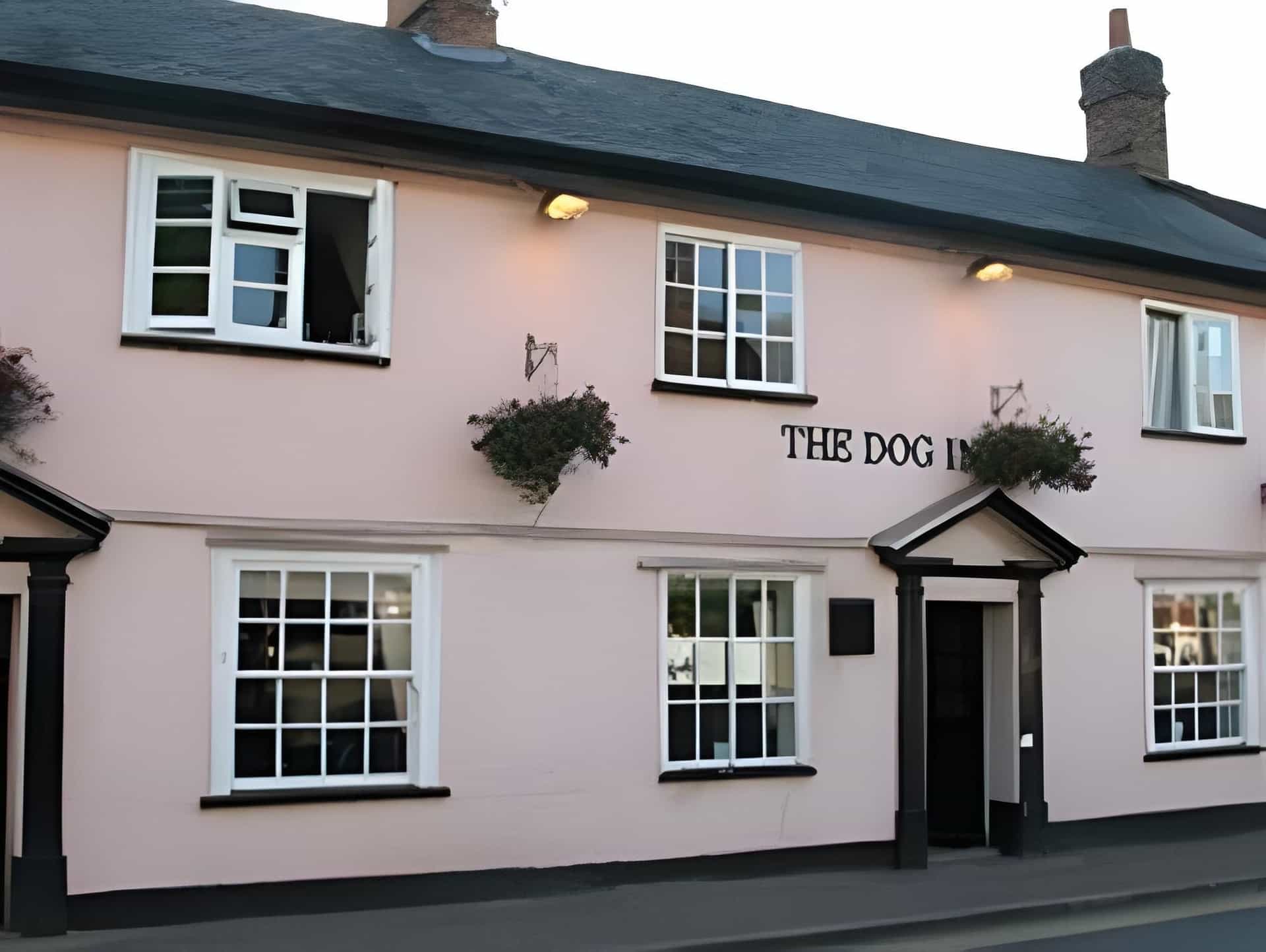 The Dog Inn The Dog Inn