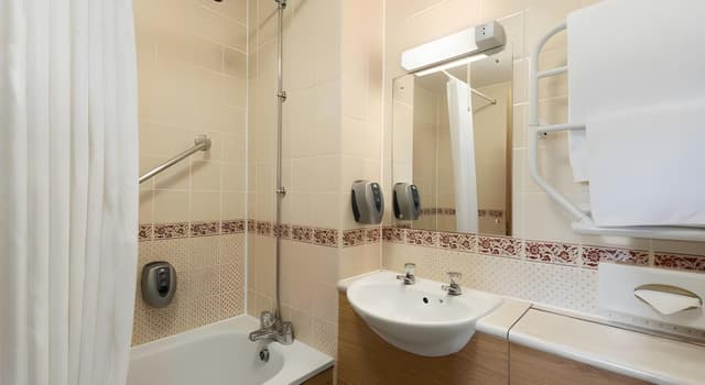 1 Double Bed, Sofa Pullout, Non-Smoking
