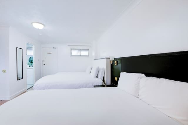 Family Room, Multiple Beds
