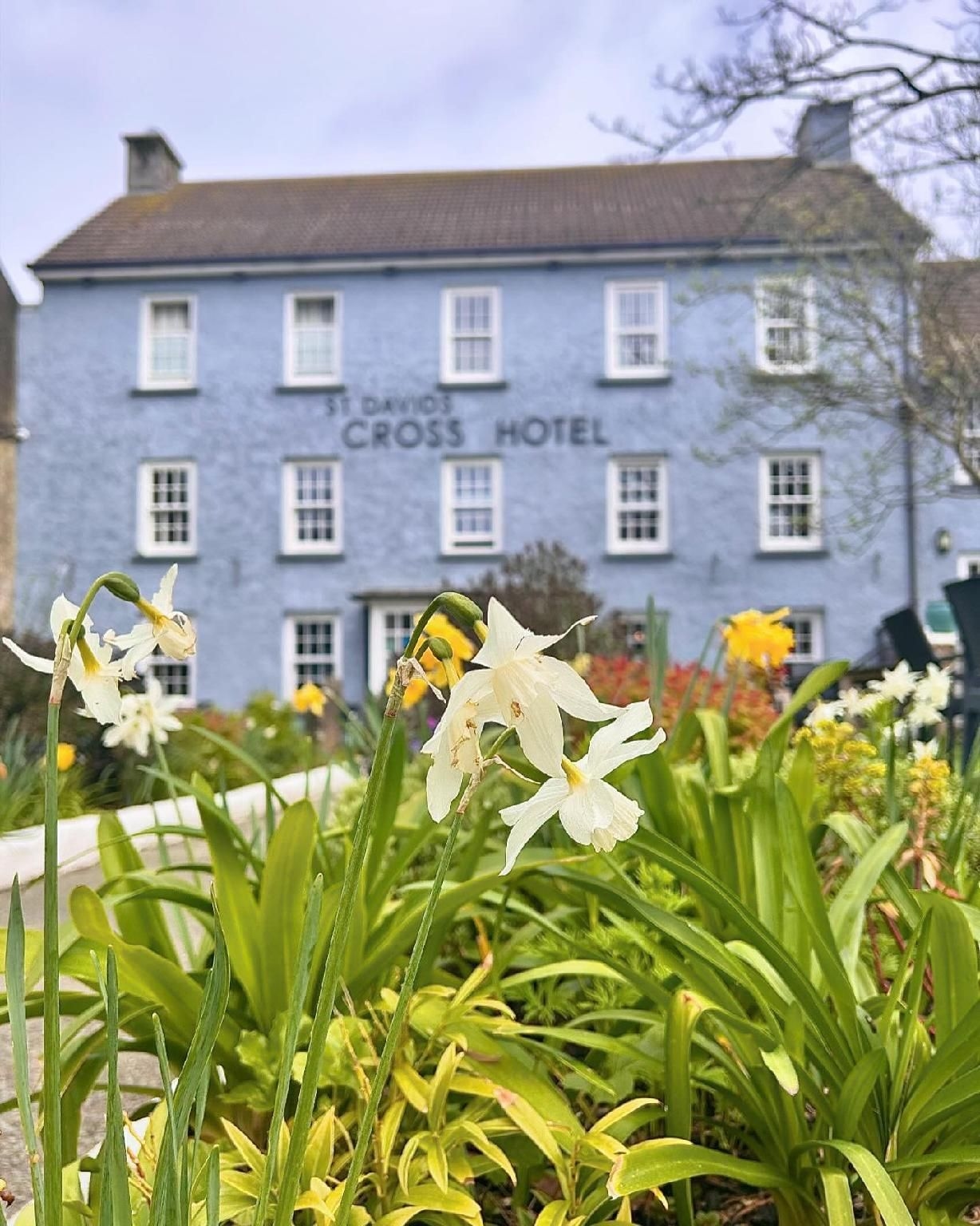 St. Davids Cross Hotel1