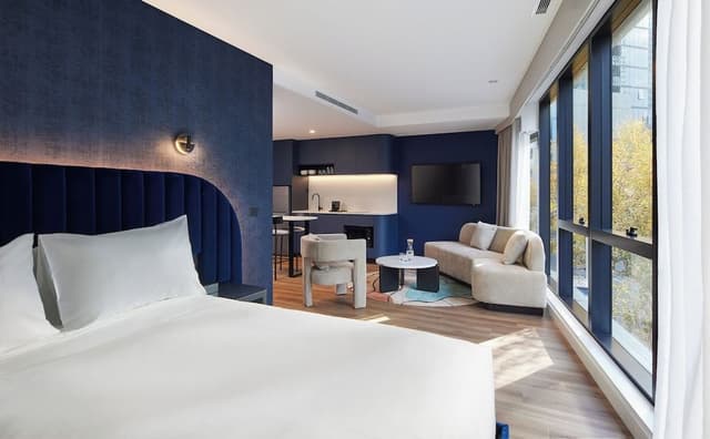 Studio, 1 King Bed