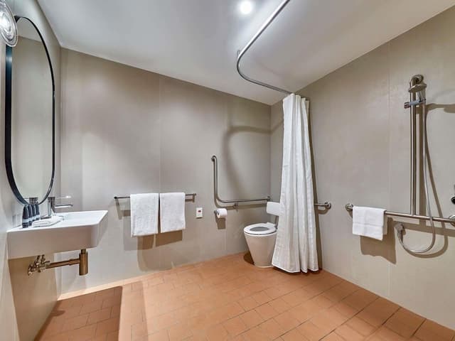Standard Room, Accessible (King)