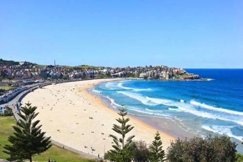 Beachfront Serenity Bondi Beach2