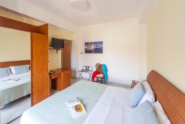 Premium Double or Twin Room with Vulcan View