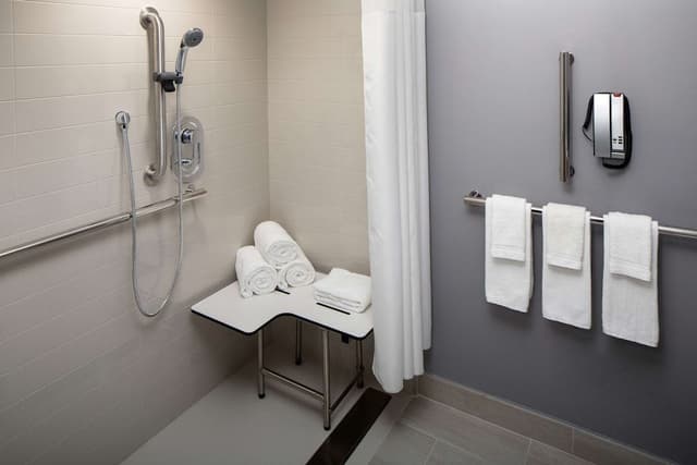 Room, 1 King Bed, Accessible (Roll-In Shower)