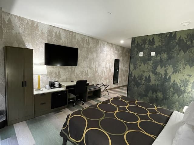 Room, 1 King Bed, Accessible, Non Smoking (Roll-In Shower)