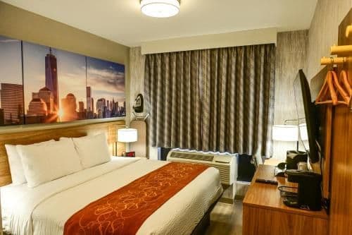 1 King Bed, Mobility Accessible Room, Roll-In Shower, Non-Smoking