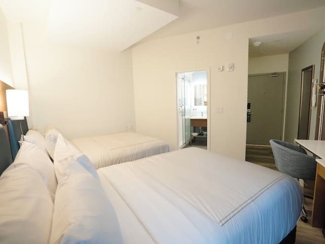 Premium Room, Multiple Beds