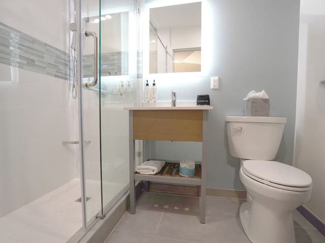 Premium Room, Multiple Beds