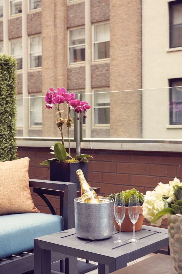 Deluxe King Terrace