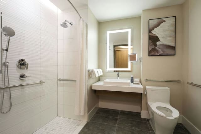 Room, 1 King Bed