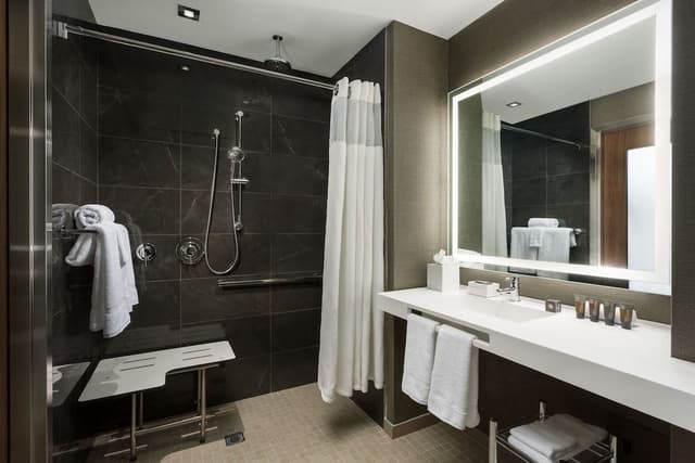 Room, 1 King Bed, City View (Mobility/Hearing Access, Roll-in Shwr)