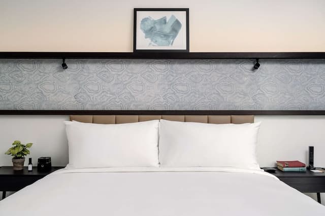 Suite (Arlo)