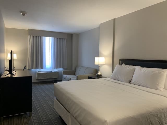 Room, 1 King Bed, Non Smoking