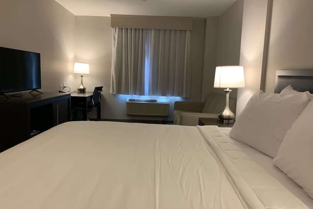 Room, 1 King Bed, Non Smoking