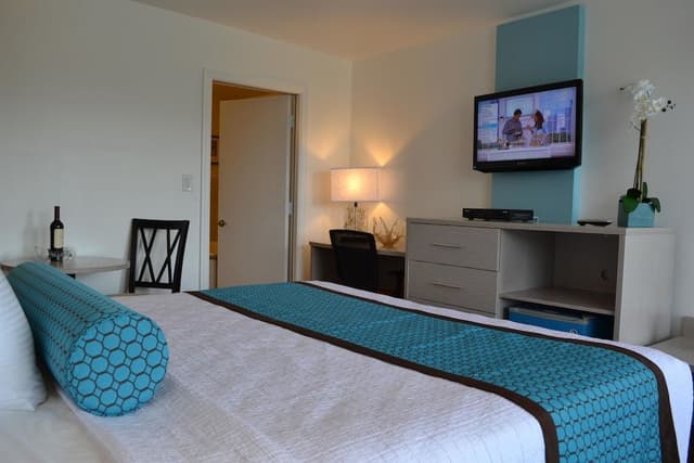 Superior Room, 1 King Bed, Private Bathroom