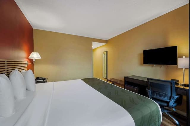 Room, 1 King Bed, Accessible, Non Smoking