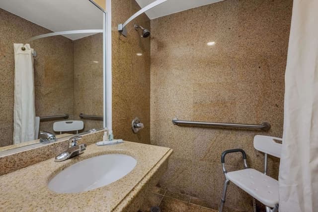 Room, 1 King Bed, Accessible, Non Smoking