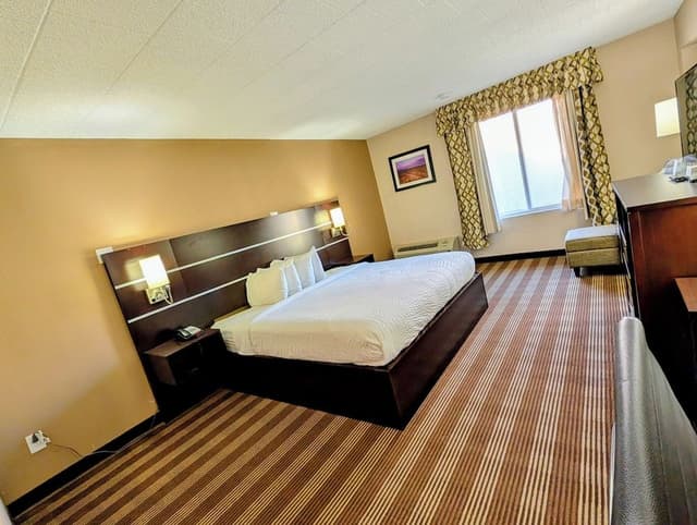 Room, 1 King Bed, Non Smoking