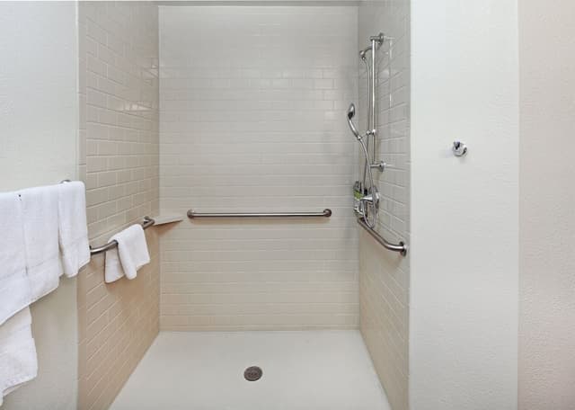 Studio Suite, 1 Queen Bed, Accessible (Communications, Roll-In Shower)