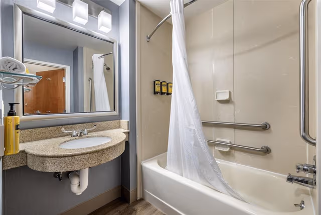 Standard Room, 1 King Bed, Accessible, Non Smoking (Walk-in Shower)