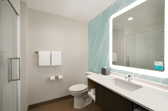 1 King Standard Communication Mobility Roll in Shower