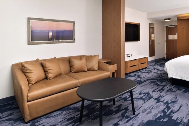 Suite, 1 King Bed with Sofa bed