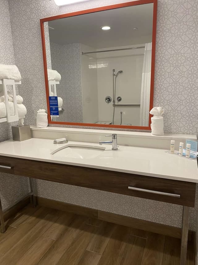 1 KING MOBILITY ACCESS WITH 3X3 SHOWER NOSMOK
