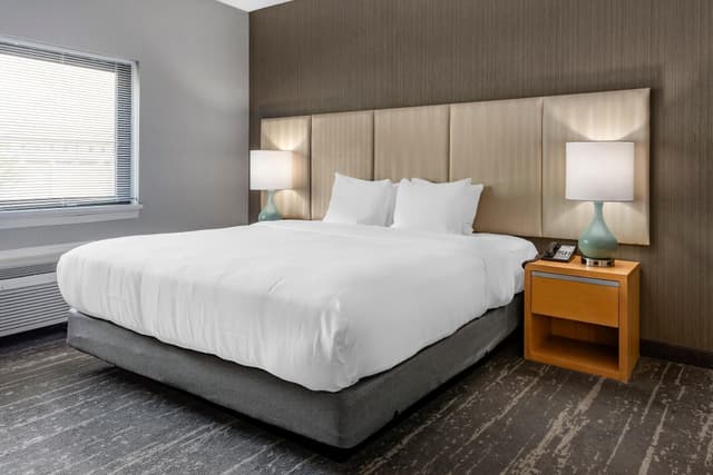 1 King Bed