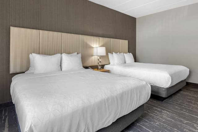 Comfort Room, 2 Queen Beds