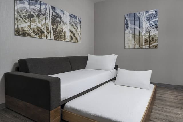 Suite, 1 King Bed with Sofa bed