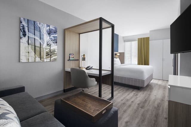 Suite, 1 King Bed with Sofa bed