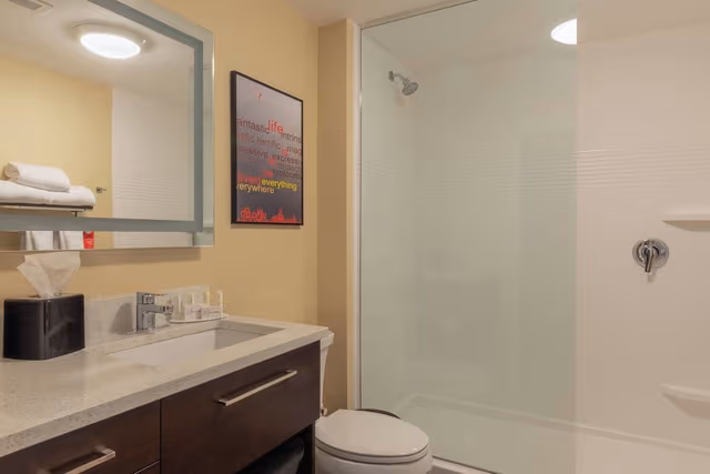 Studio, 1 King Bed (Hearing Accessible)