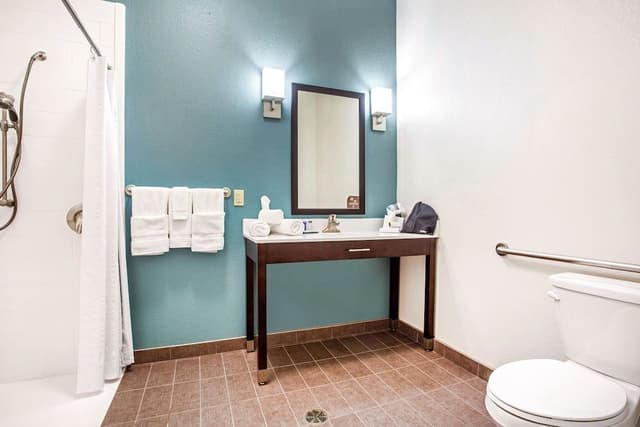 Suite, 1 King Bed, Accessible, Non Smoking
