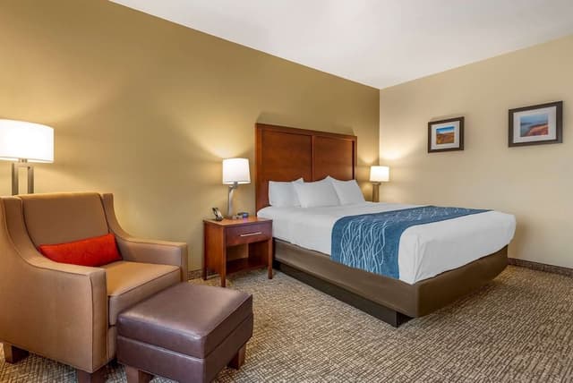 Standard Room, 1 King Bed, Non Smoking