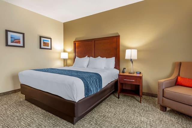 Room, 1 King Bed, Accessible, Non Smoking