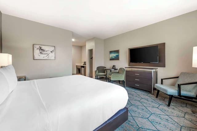 Standard Room, 1 King Bed, Non Smoking