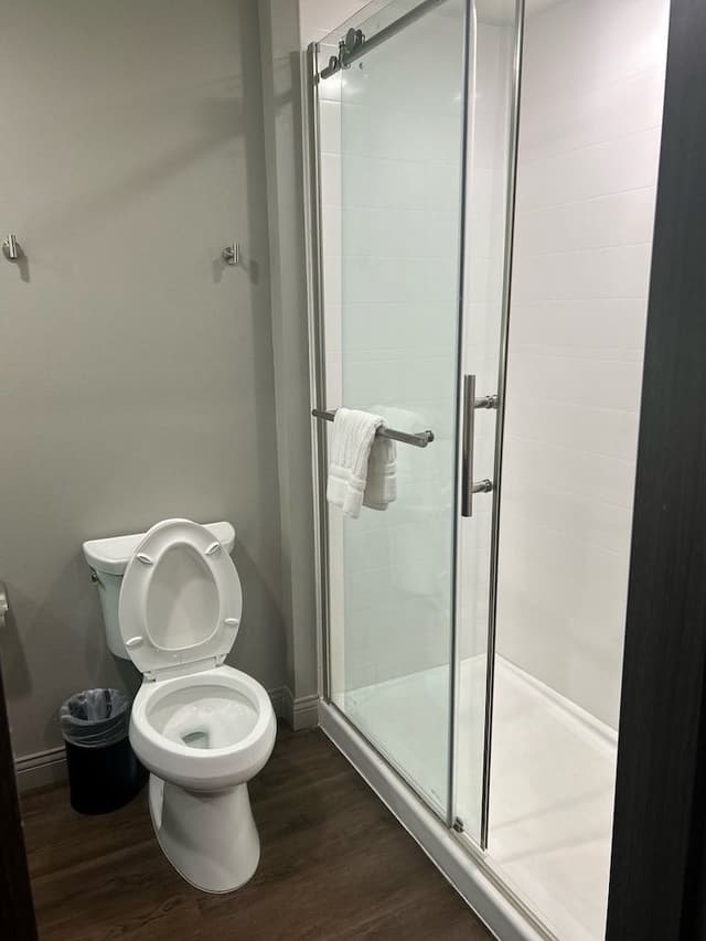 Presidential Suite, 1 King Bed with Sofa bed, Roll-in Shower, Non Smoking