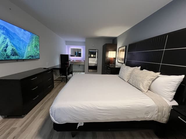 Premium Studio Suite